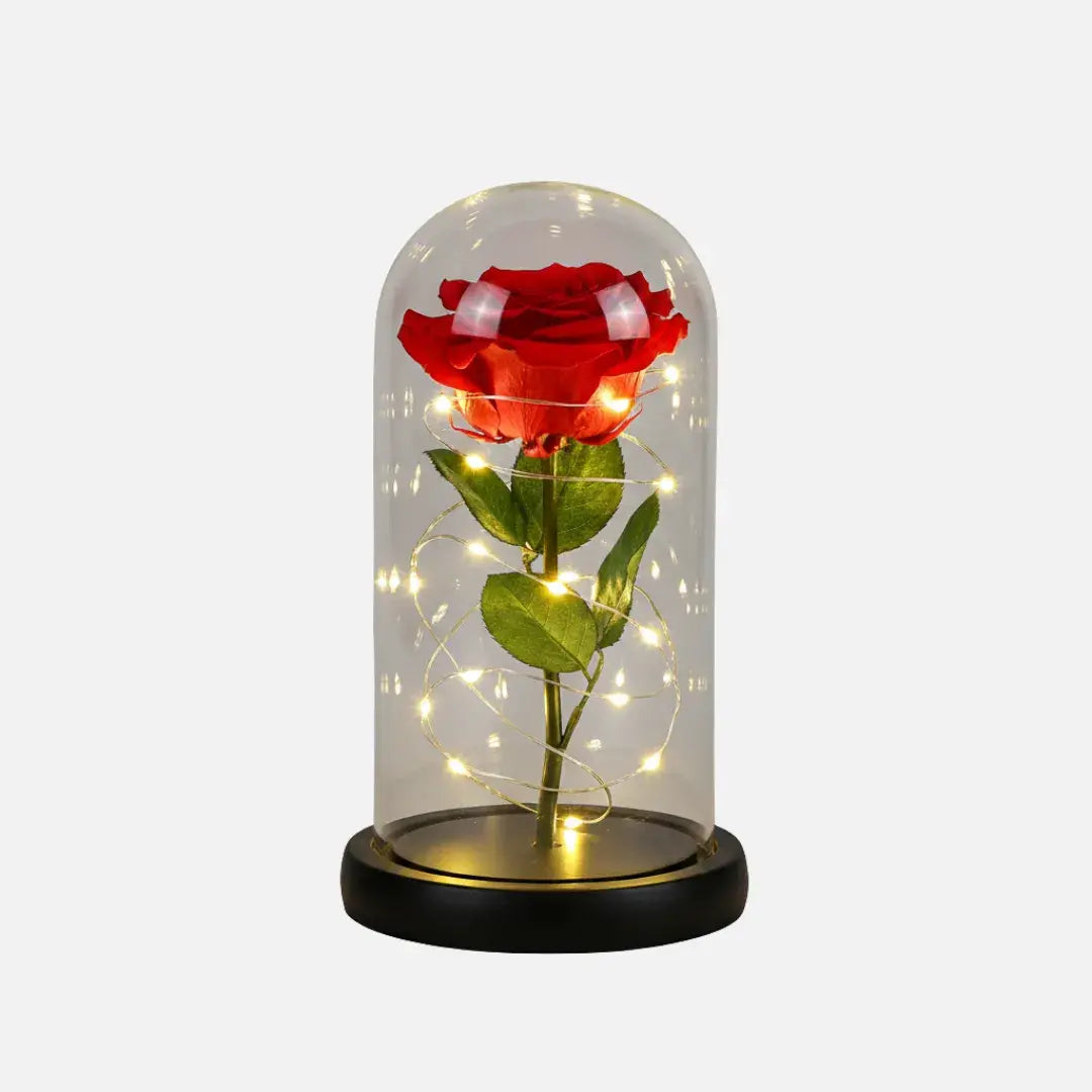 Rosa Eterna com Cúpula Iluminada