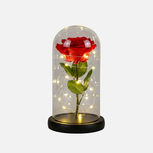 Rosa Eterna com Cúpula Iluminada